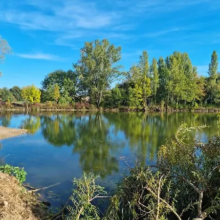 Maison Grande Piscine Pres Montauban 82 Quercy *